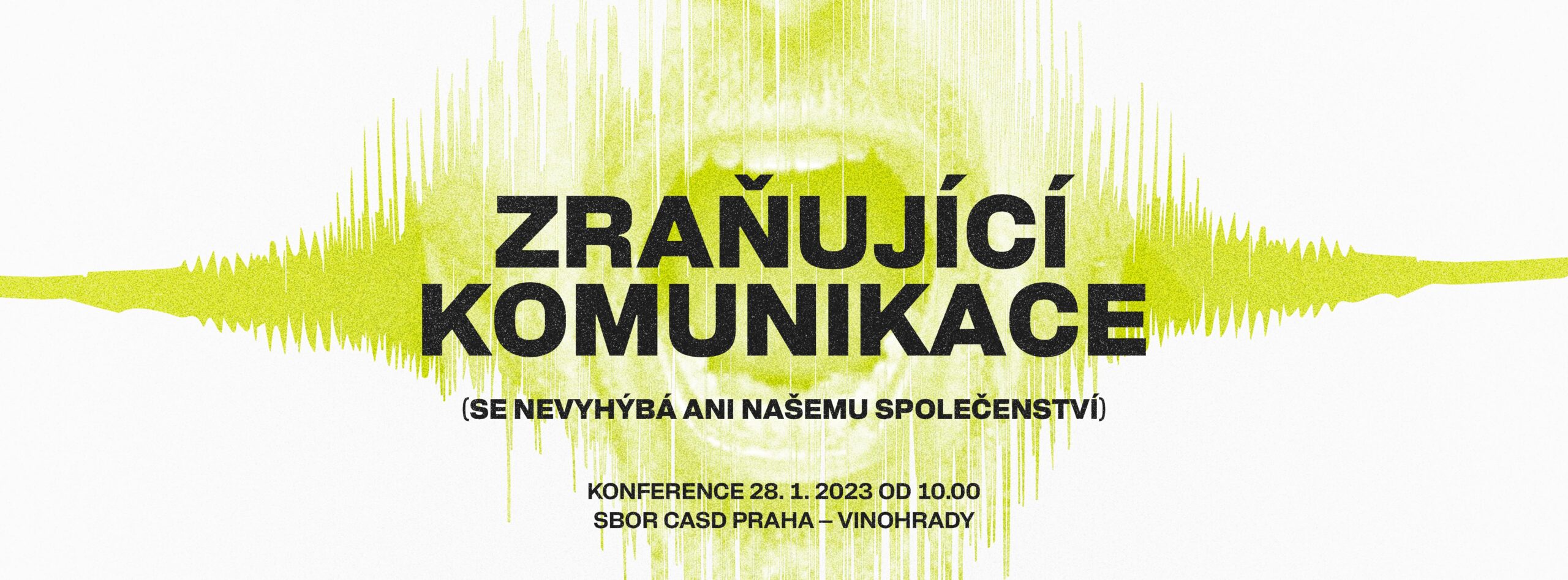 Zranujicikomunikace nahledovka
