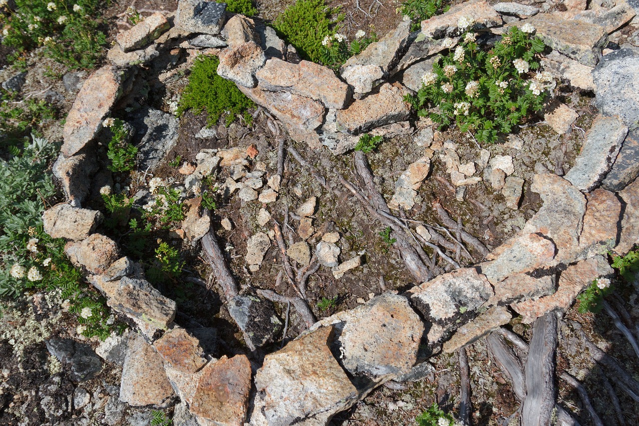 Kořeny a křídla – národní týden manželství